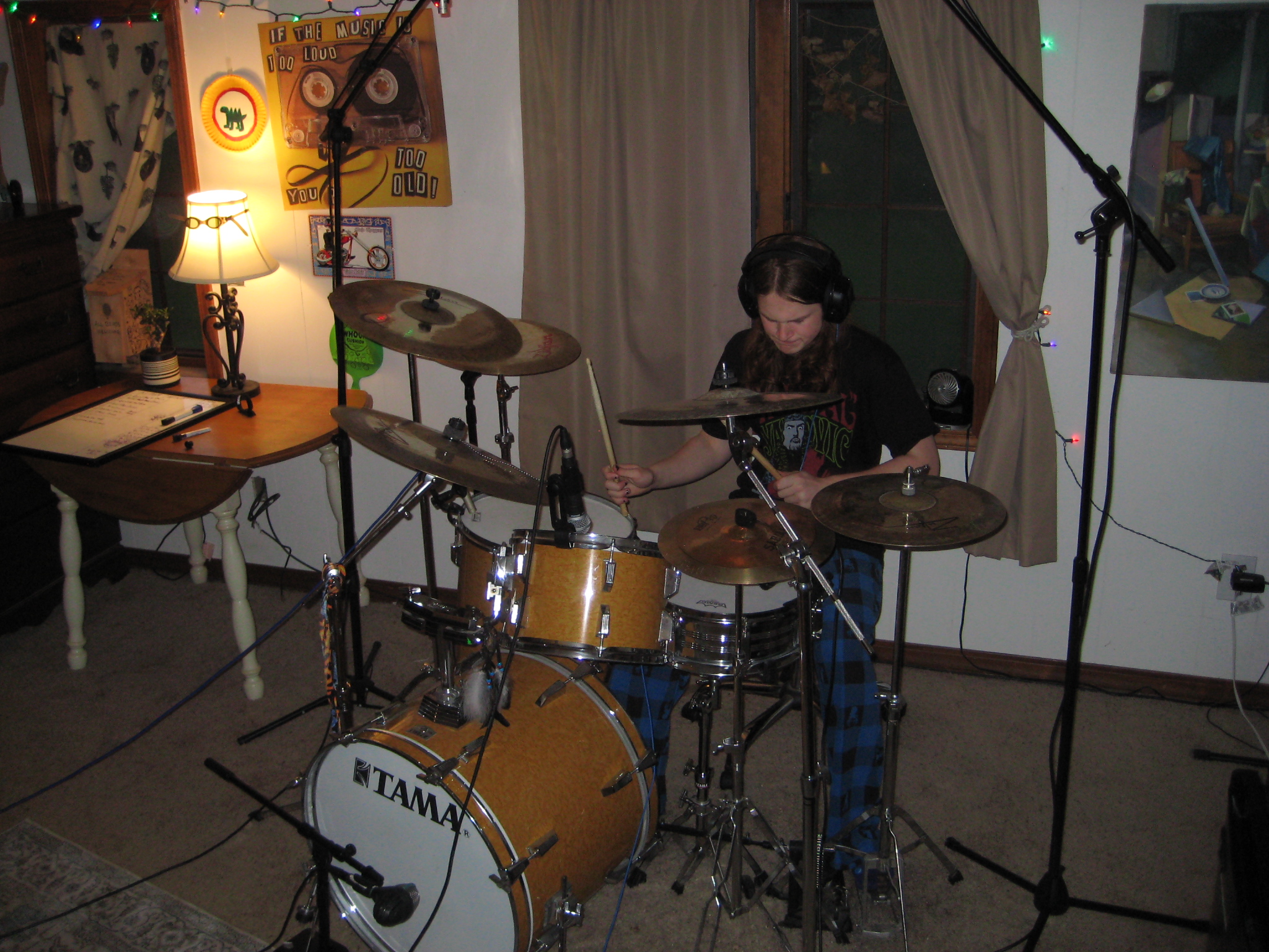 willow drummin